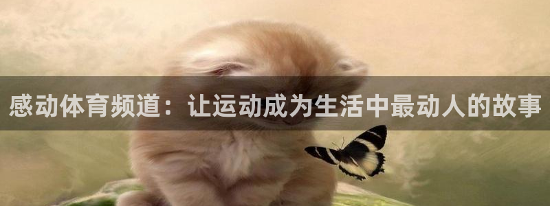 感动体育频道：让运动成为生活中最动人的故事