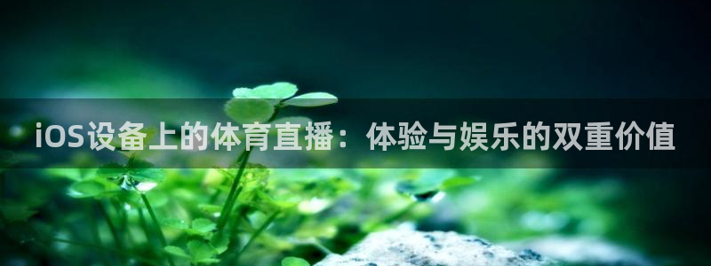 iOS设备上的体育直播：体验与娱乐的双重价值